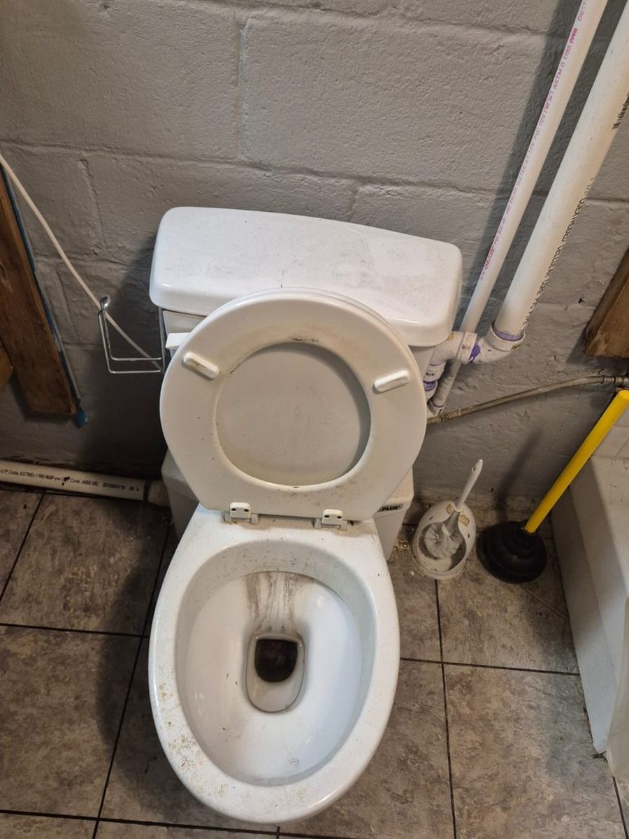 Toilet before cleaning, with staining down the inside of the bowl, a soiled seat and grime around the base and hinges