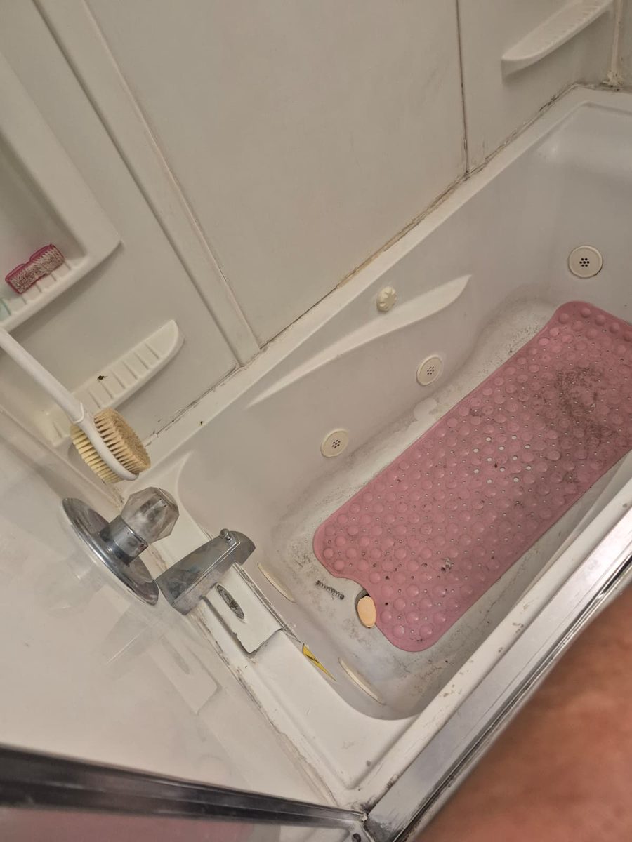 Bathtub and surround before cleaning, with soap film across the tub floor, dark mould along the panel seams and a stained bath mat